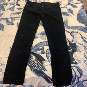 Adriano Goldschmied navy cords